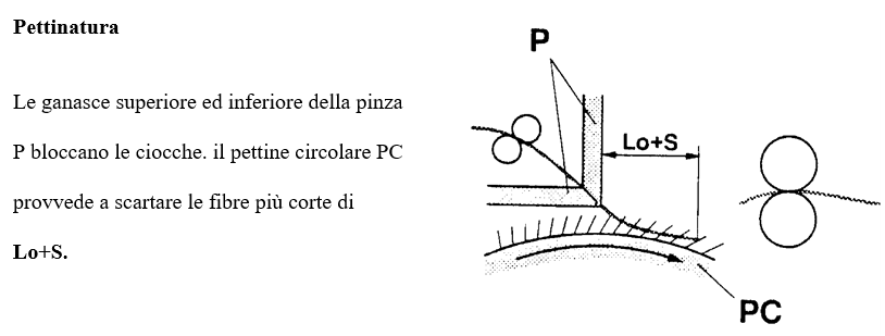 Fase 1: PETTINATURA delle fibre