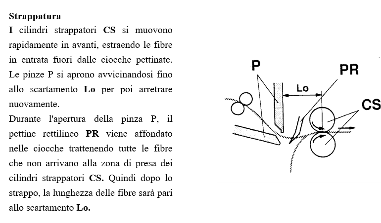 Fase 3: STRAPPATURA