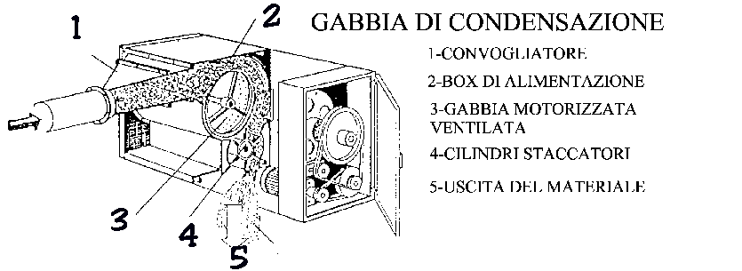 Gabbia Pulitrice cotone sodo