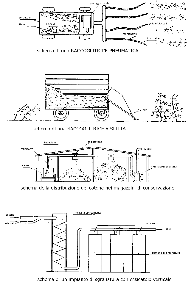 Macchine per la raccolta del Cotone