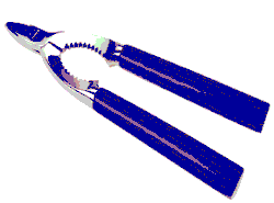Pinza