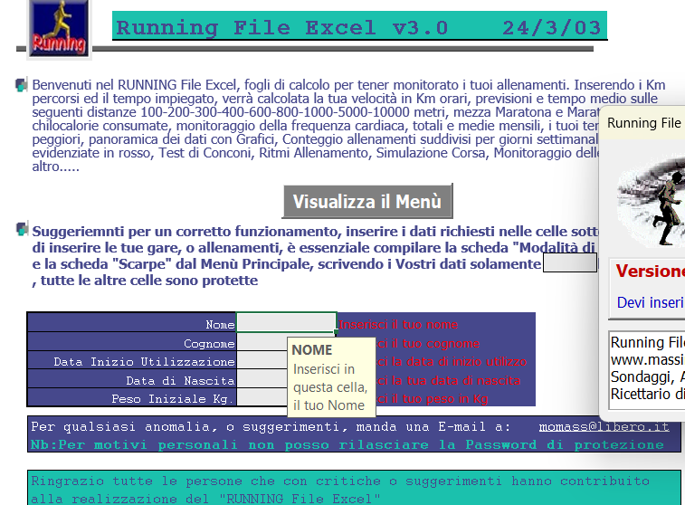 Screenshot Running File Excel