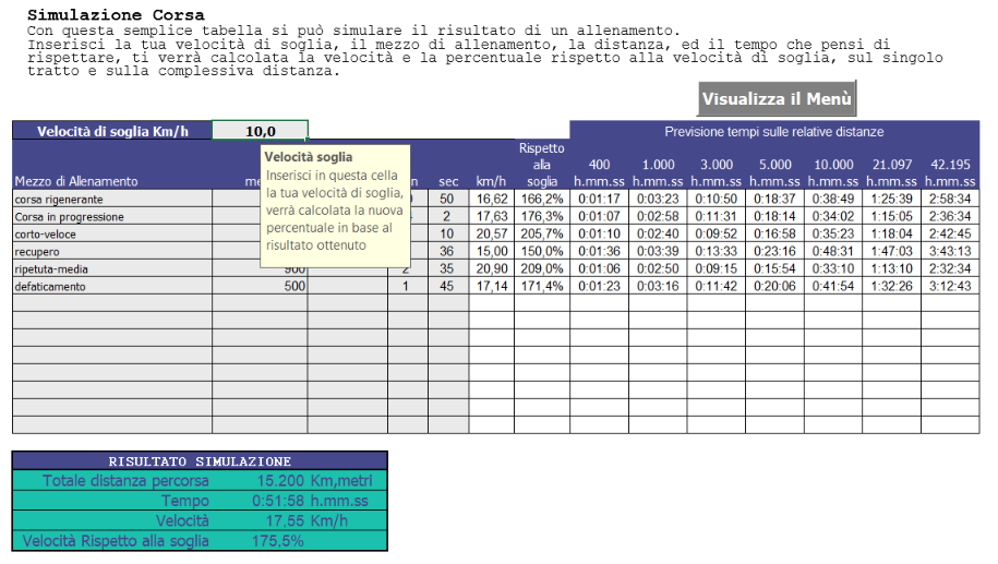 Screenshot Running File Excel